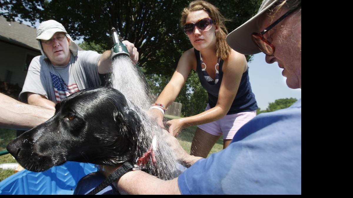 
Volunteers give Lucky a bath during the RETAIN summer dog wash outside Heartland Animal Hospital in 2009. 
