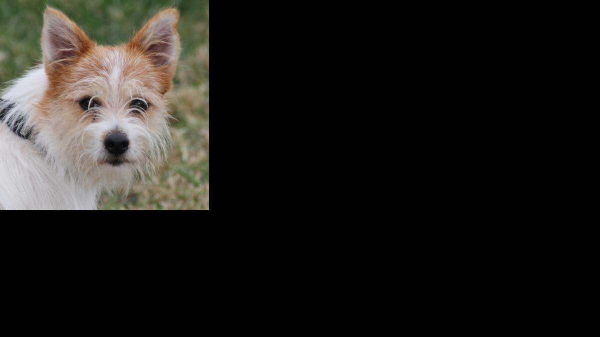 
Chester
