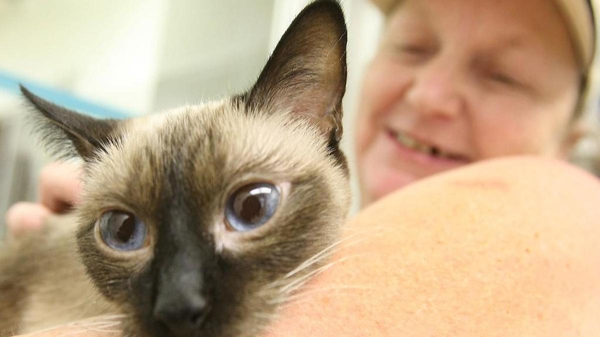 
Jolene Sanders picks up “Chloe,” one of her five cats, from the Spay-Neuter Kansas clinic on its first day of operation in 2008. A fundraiser on Nov. 8 will raise money for the clinic, which provides low-cost spay and neuter surgery for dogs and cats.
