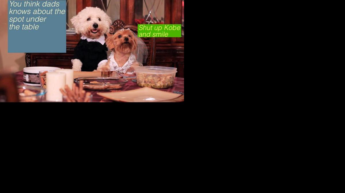 
The Doggy Cooking Network is a YouTube show about making your own dog food.
