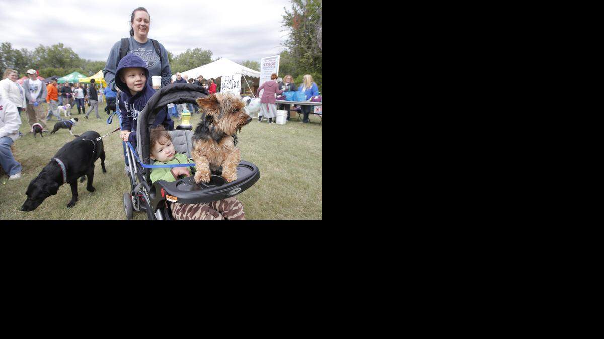 
Katie Inkelaar has her hands full with her kids Michael, front, and Thomas, and the family dogs Remington, front, and Lily, during Woofstock at Sedgwick County Park in 2013.
