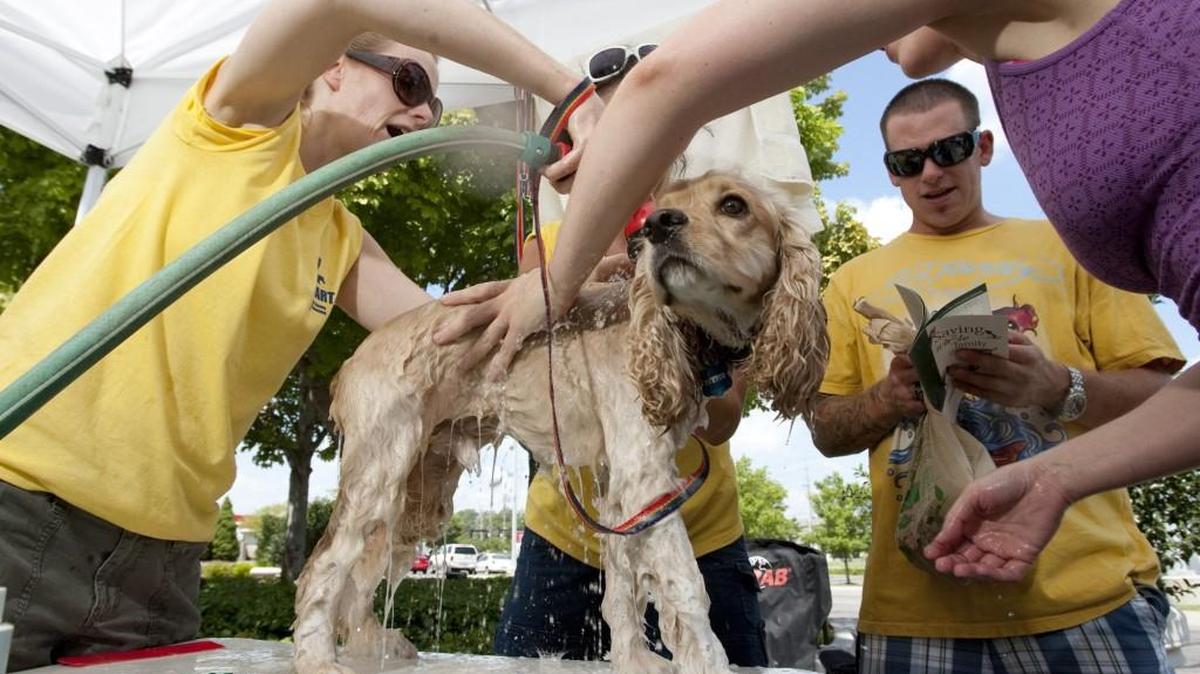 Volunteers wash dogs in 2010 at a benefit for the Sedgwick County Animal Response Team.