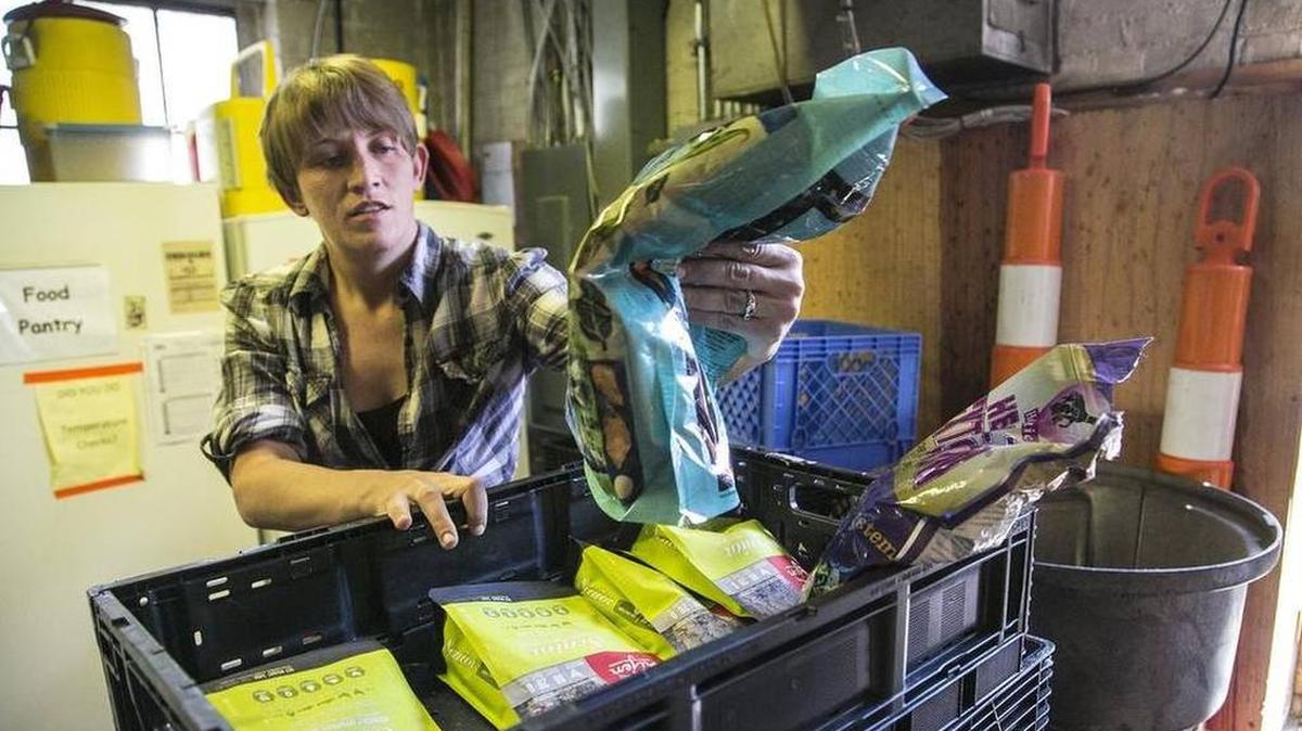 
Volunteer Kimberly Flores stocks pet food for the First Metropolitan Community Church pantry for low-income pet owners in April.
