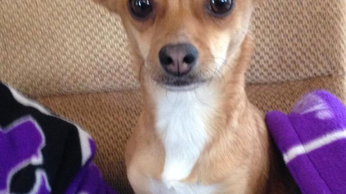 Chloe