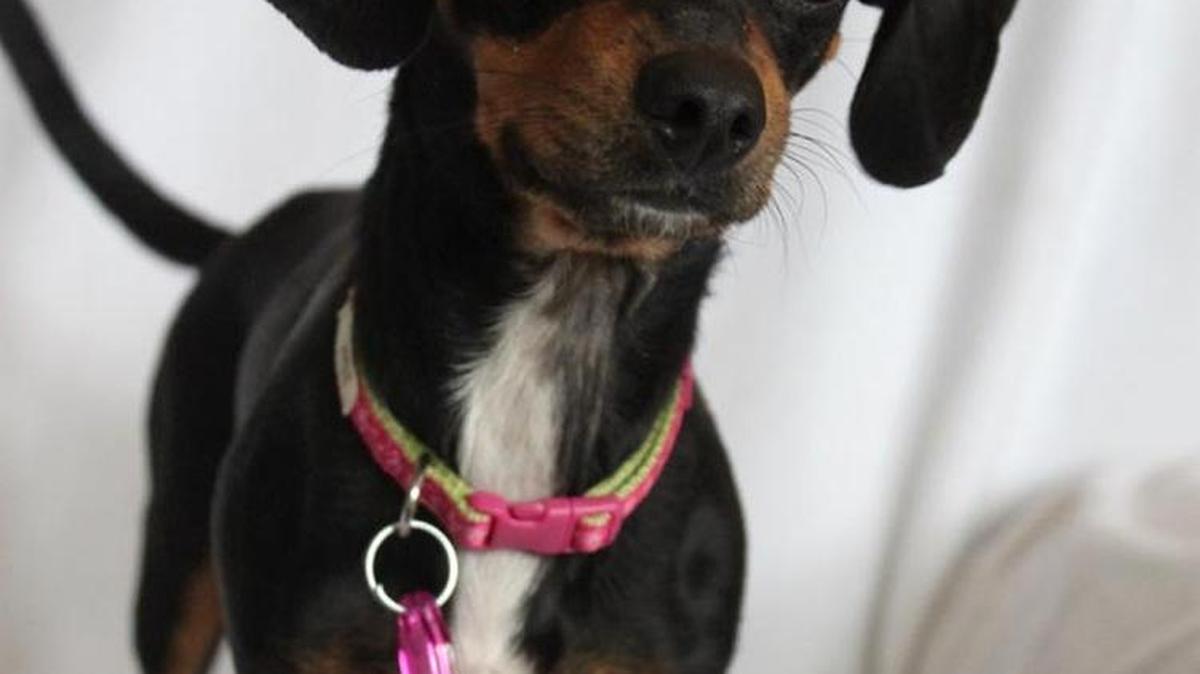 Roxie