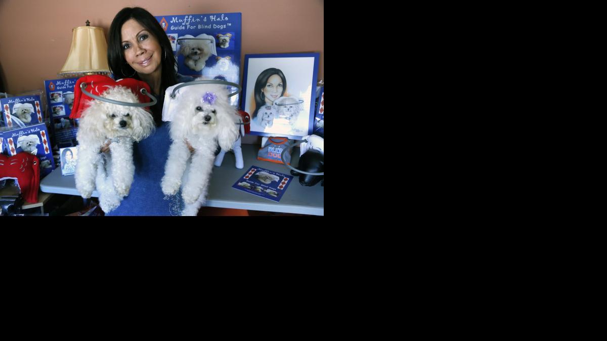 
Silvie Bordeaux created Muffin’s Halo Guide for Blind Dogs, a device that encircles a dog’s head and prevents blind pets from running into walls and furniture. 
