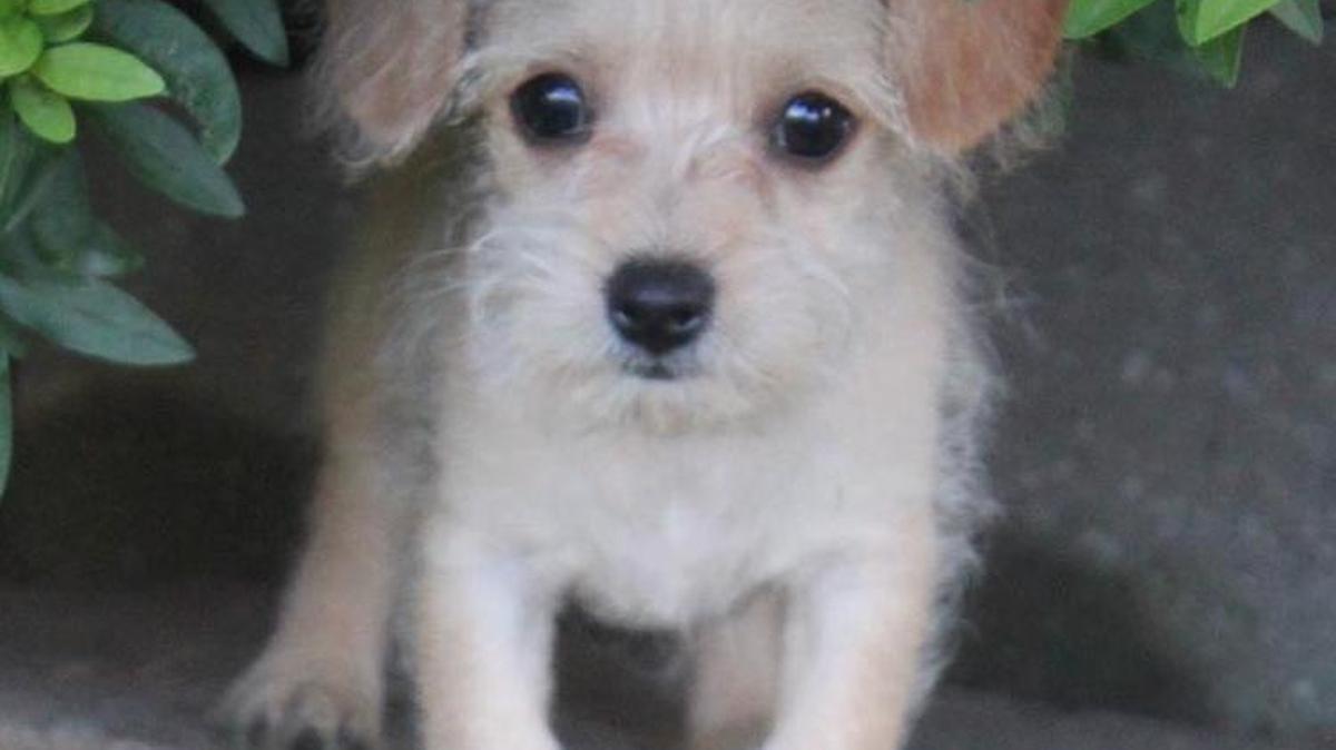 
Winnie
