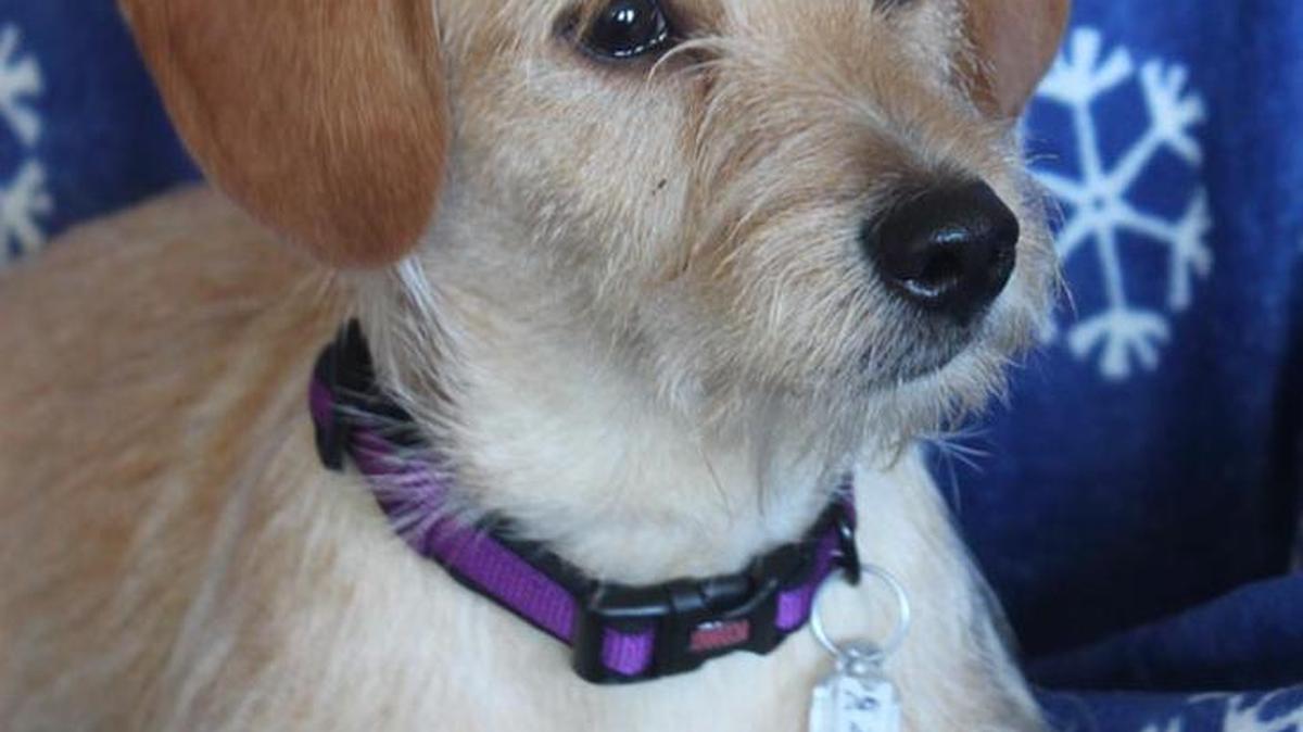 Darby