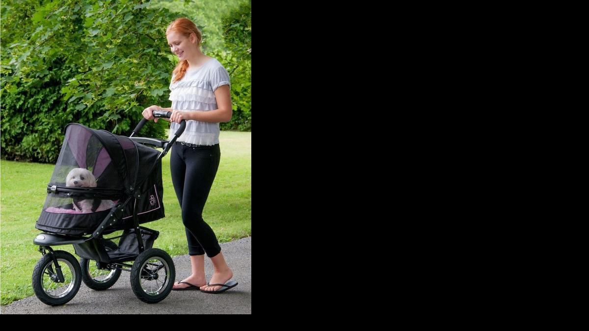 A pet stroller may be the best way to take your elderly pet out for some fresh air.