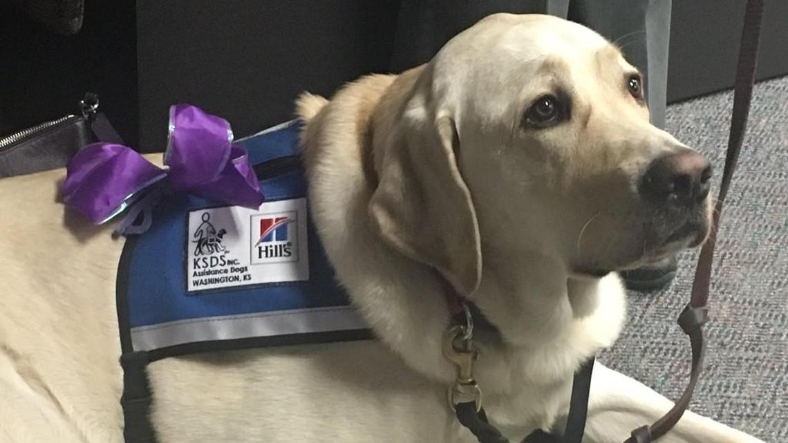 Laddy with Wichita Police Department’s victims assistant unit attended Wednesday’s media briefing to raise awareness for domestic violence.