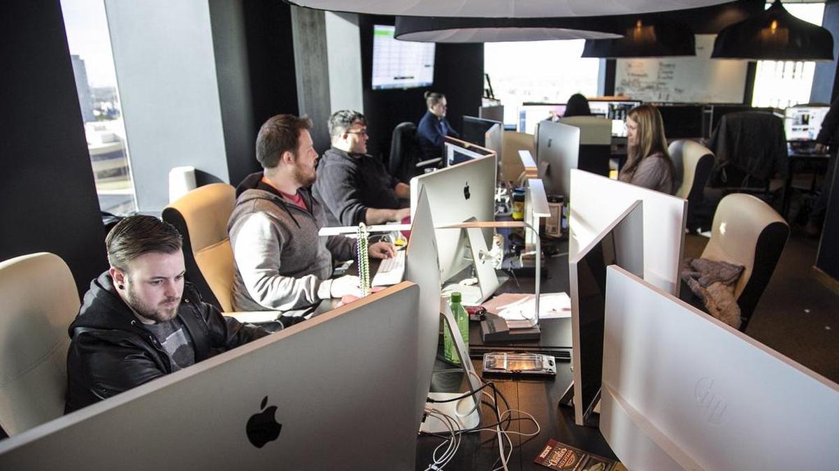Employees work at SNT Media, a platform for automated information gathered by web crawlers.