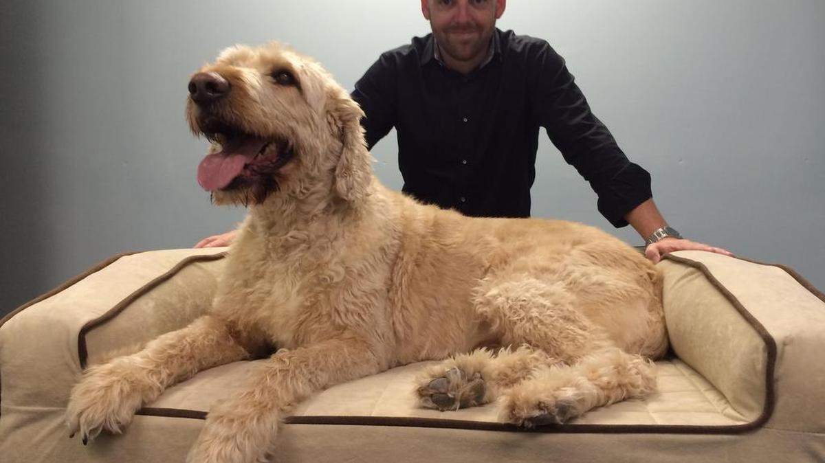 Trevor Crotts, founder of BuddyRest, has purchased the PetNV pet product lines from Envision.