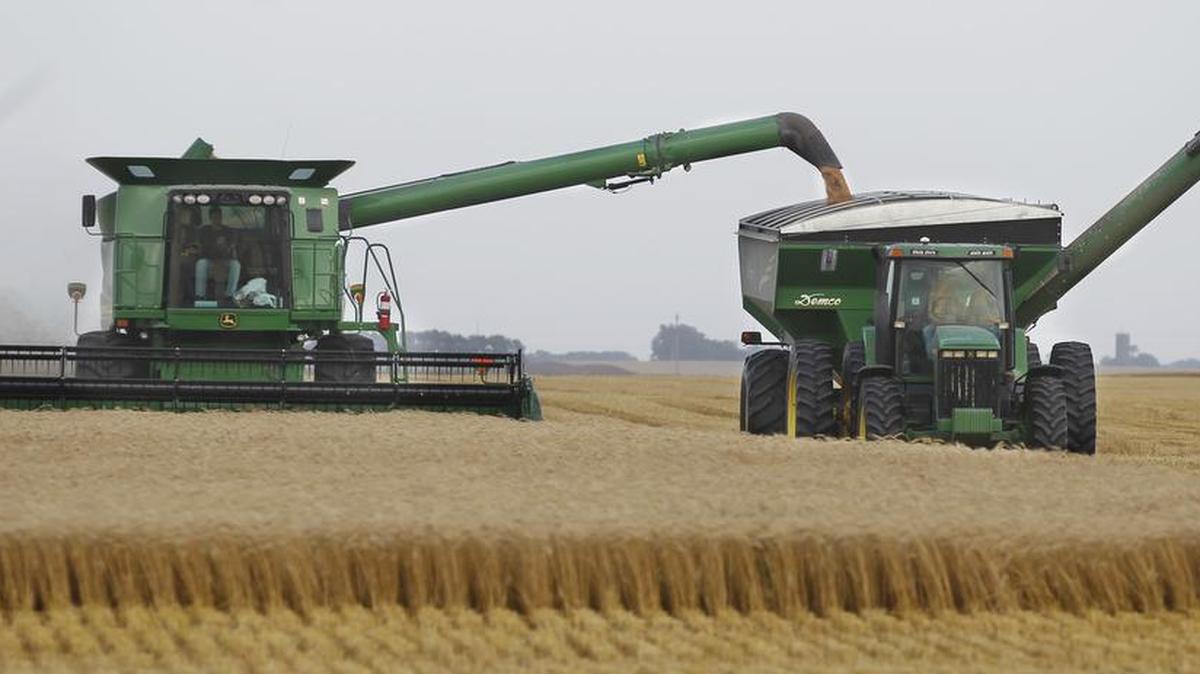 Wheat exports are down 27.5 percent in the U.S. through November