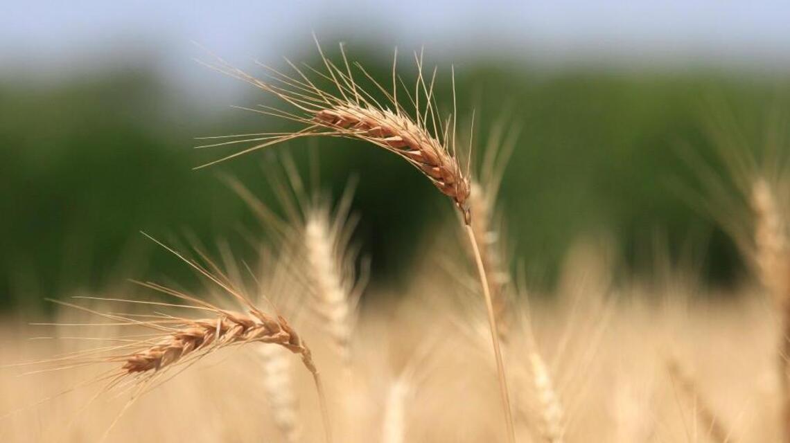 Kansas groups seek to lift trade embargo with Cuba