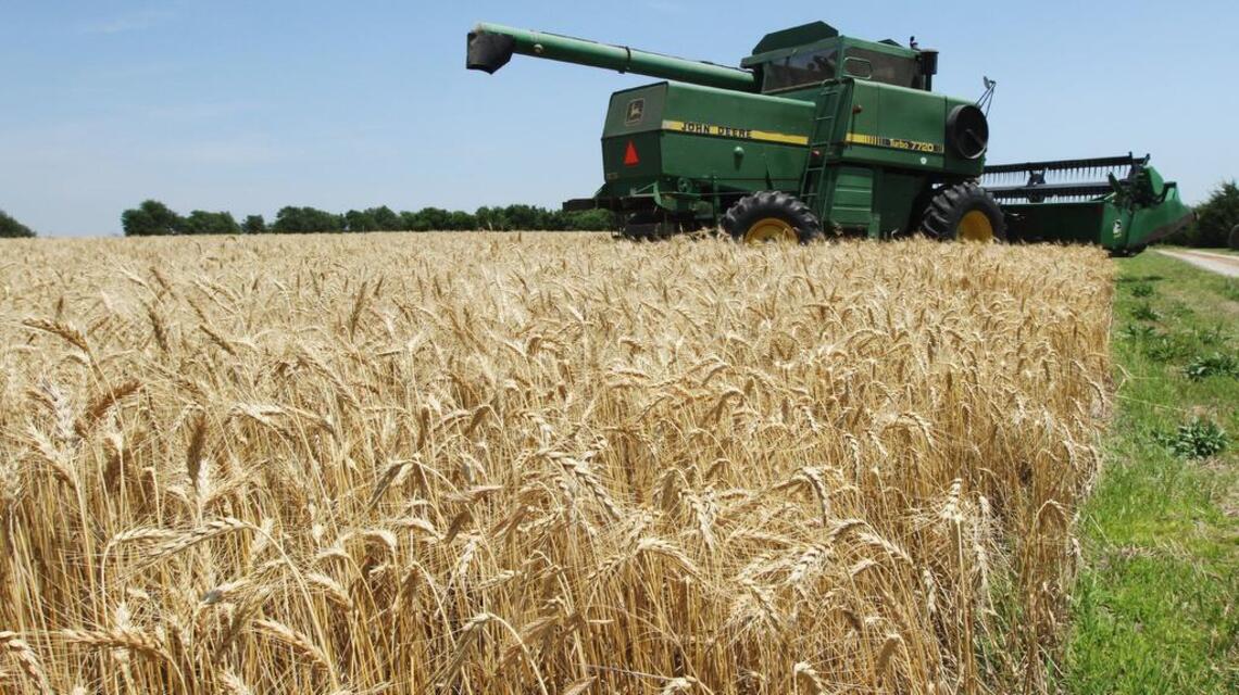 No farm crisis yet, but situation worsening, expert says