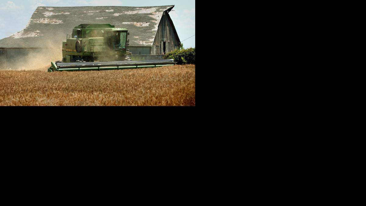 
Crop farmers saw their incomes fall as prices for grains and hay fell, particularly in the second half of the year. Farm earnings dropped by $1.1 billion in 2014. 
