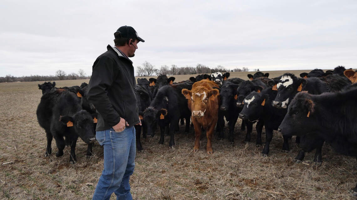 General Mills chooses Kansas for restorative farming project
