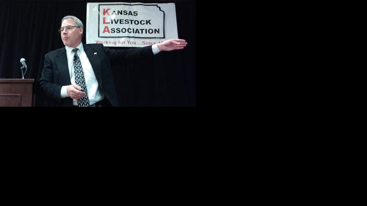 
Randy Blach, CEO of CattleFax, gives an overview of the cattle market for 2015 for the Kansas Livestock Association on Thursday. 
