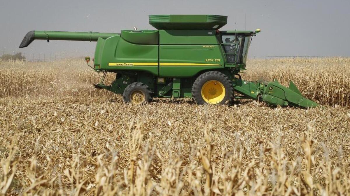 Corn is harvested from a Kansas field in September 2014.