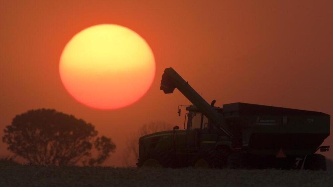 After blizzard, hail and disease, fate of wheat crop uncertain