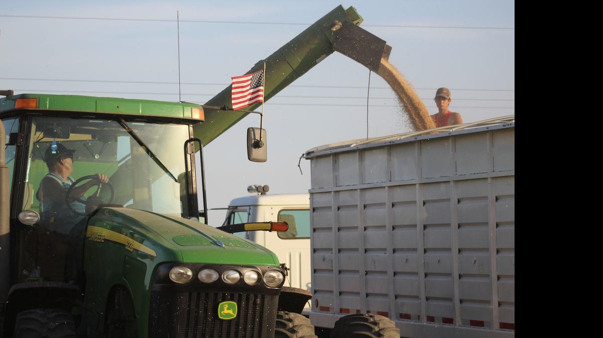 
B.J. Boswell, in the background, receives cut wheat from Jim Scheer, who helps run Scheer Farms.
