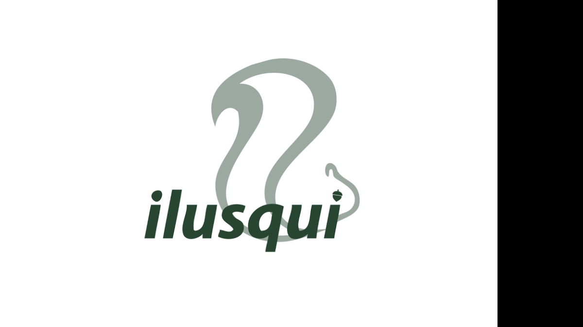 
Diana Carbajal chose Ilusqui as the name of her new business because it combines “illustration” and “squirrel.”

