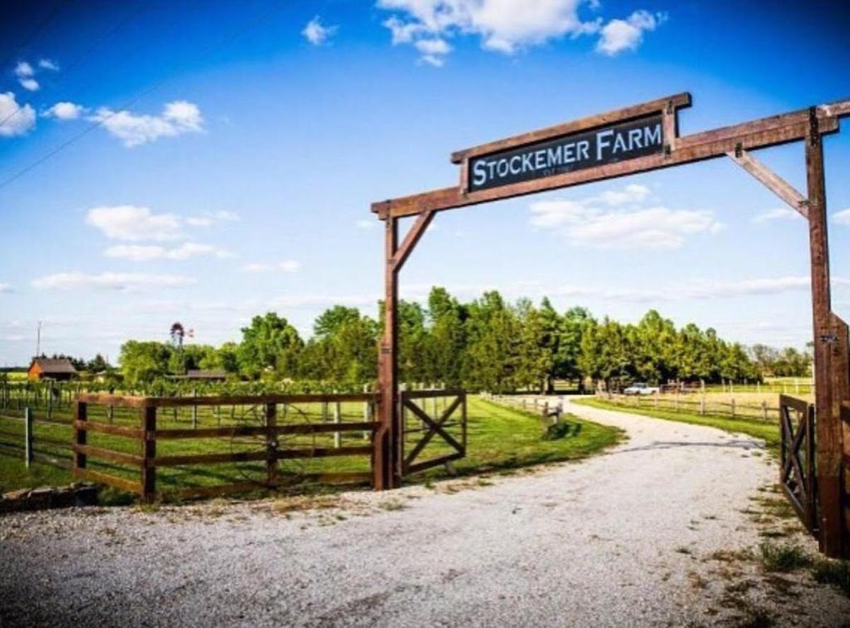 The Stockemer family farm, which started in Colwich in 1907, has had cows and crops and, now, events as Prairie Hill Vineyard at Stockemer Farm.