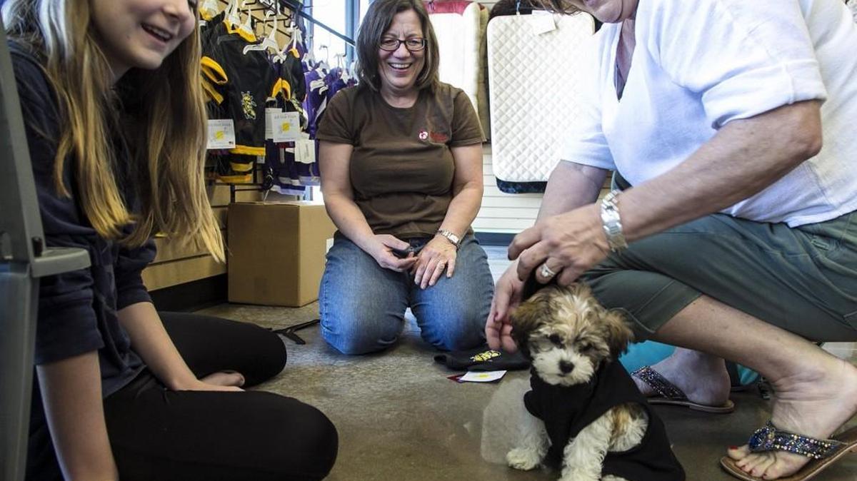Tammy Baumann of All Paws Pet Center, center, helps Judy Vest, right, and Ella Graham fit a Shocker sweater on their dog, Abby. The business is one of several businesses opening at the Village at Greenwich.