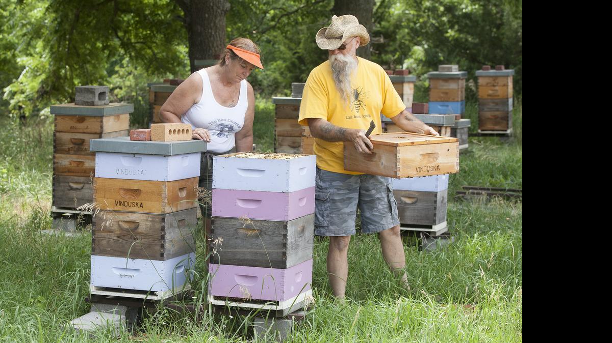 
Beekeepers Candy and Bill Vinduska of Vinduska Apiaries look into a beehive on their property near Marion in 2013.
