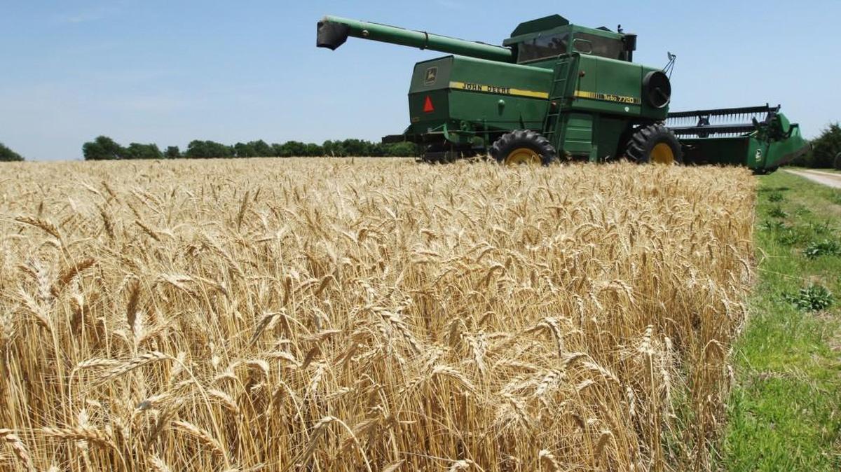 The farm sector contributed more than half of Kansas’ economy growth in the first quarter, according to the U.S. Bureau of Economic Analysis.