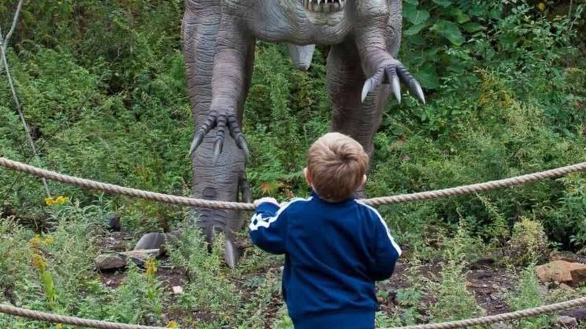 New hospital, dinosaur park expected to open next year in Derby