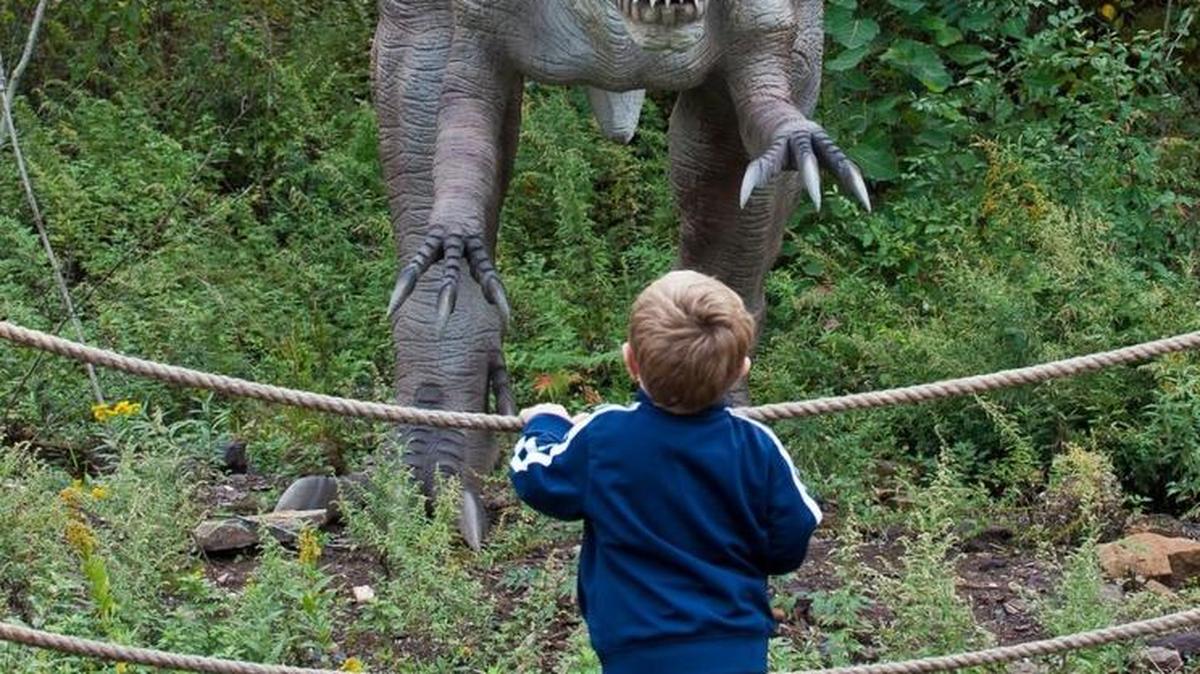 A visitor at Field Station: Dinosaurs in New Jersey looks at an animatronic model in the prehistoric-themed park.