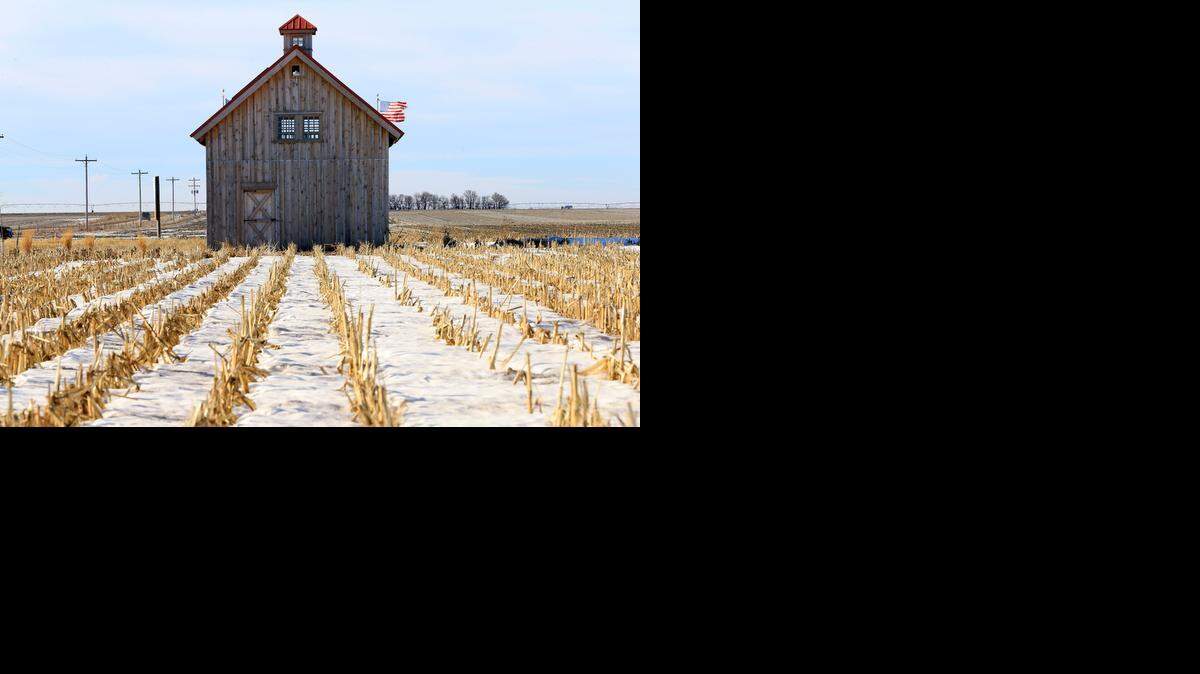 
A barn built by opponents of the Keystone XL pipeline sits on the planned route from the controversial project, near Bradshaw, Neb. Officials with TransCanada said Tuesday that they have filed paperwork in nine counties to acquire access to land that's needed for the construction and operation of the pipeline.
