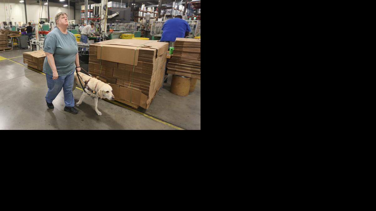 
An Envision client walks with her dog on the manufacturing floor. (Dec. 11, 2014)
