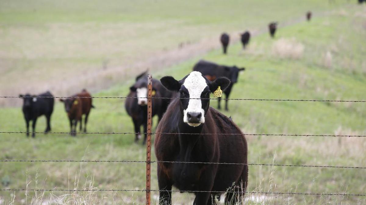 The state’s farm sector contributed the most to the state’s 1 percent personal income growth in the first quarter.