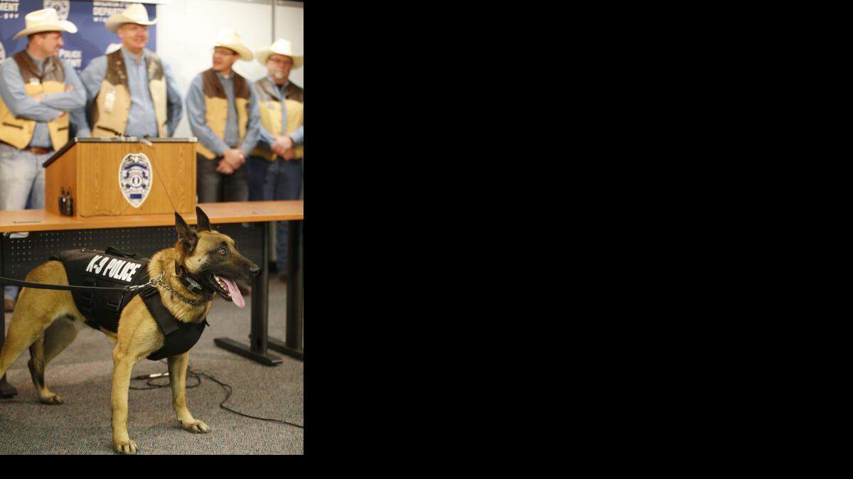 Rooster, Wichita police K-9 dog, in March 2015.