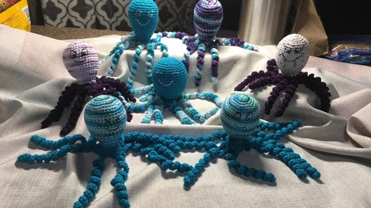 Valerie Megonigle crocheted multiple octopuses to help premature babies.