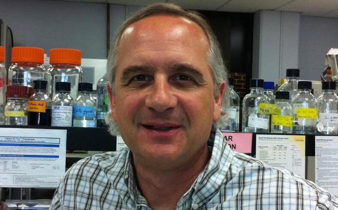 
Microbiologist Mark Schneegurt and his colleagues are studying the microbes found on junco feathers.
