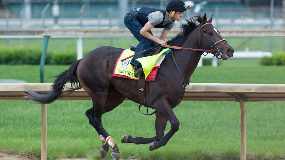 Kentucky Derby horse McCraken runs on the track during the morning workout session at Churchill Downs.