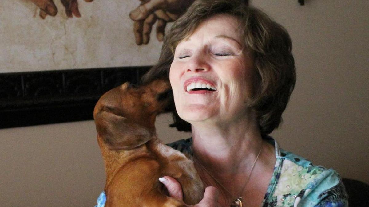 
Lucy, a 4-year-old miniature dachshund, licks Rebecca Felix’s face at their Derby home. Lucy was rescued from beneath a concrete slab in her backyard, where she had been trapped for 13 days. 
