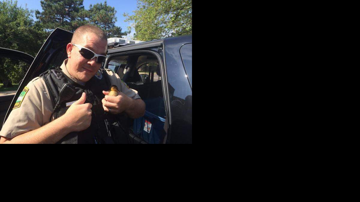 
Eastborough police officer Michael Erwin gives the thumbs up after a successful duck family rescue.
