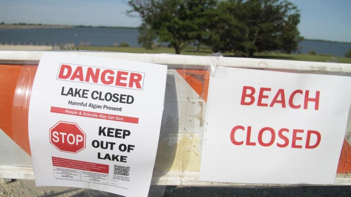 One Kansas lake is closed and another 11 are under public health warnings due to harmful blue-green algae blooms, state officials say.