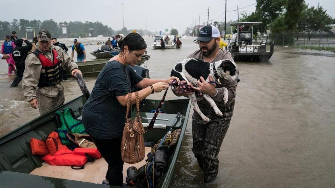 Some of Harvey’s homeless pets find their way to Wichita