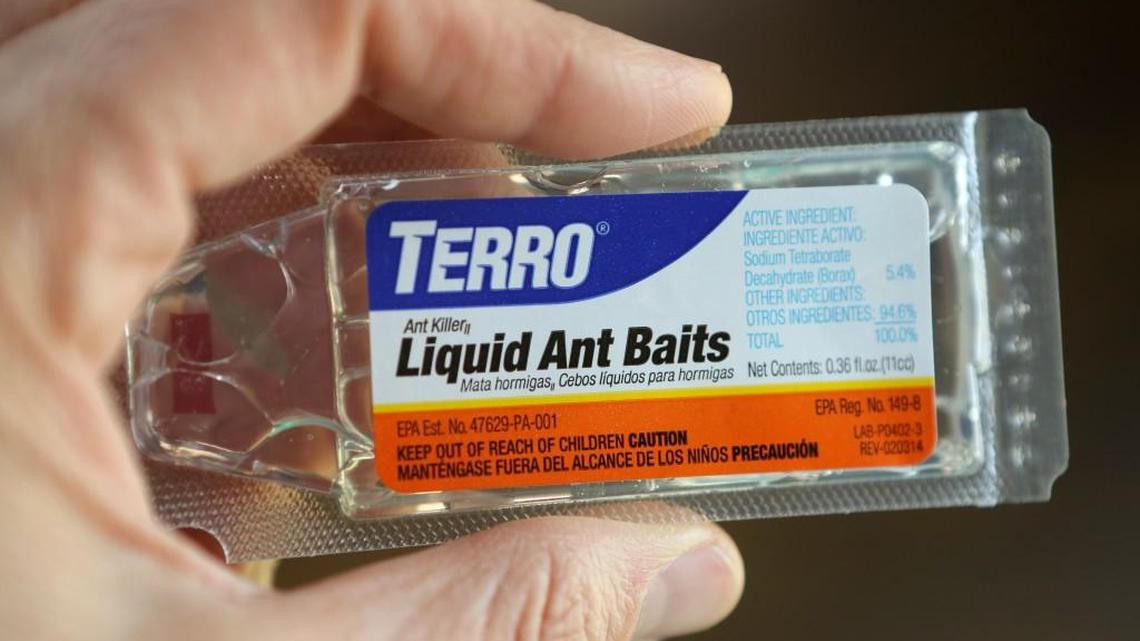 Terro liquid ant bait is effective in getting rid of ants, according to several experts. (May 23, 2017)