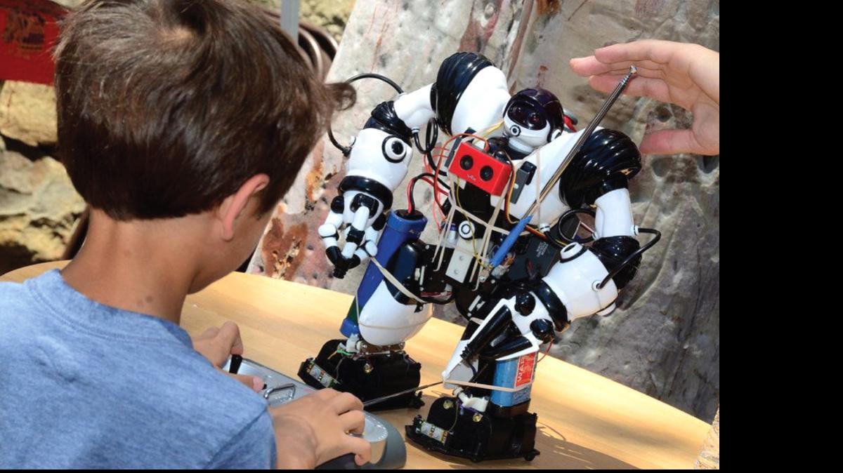 
Robots are a common theme at many Maker Faires.
