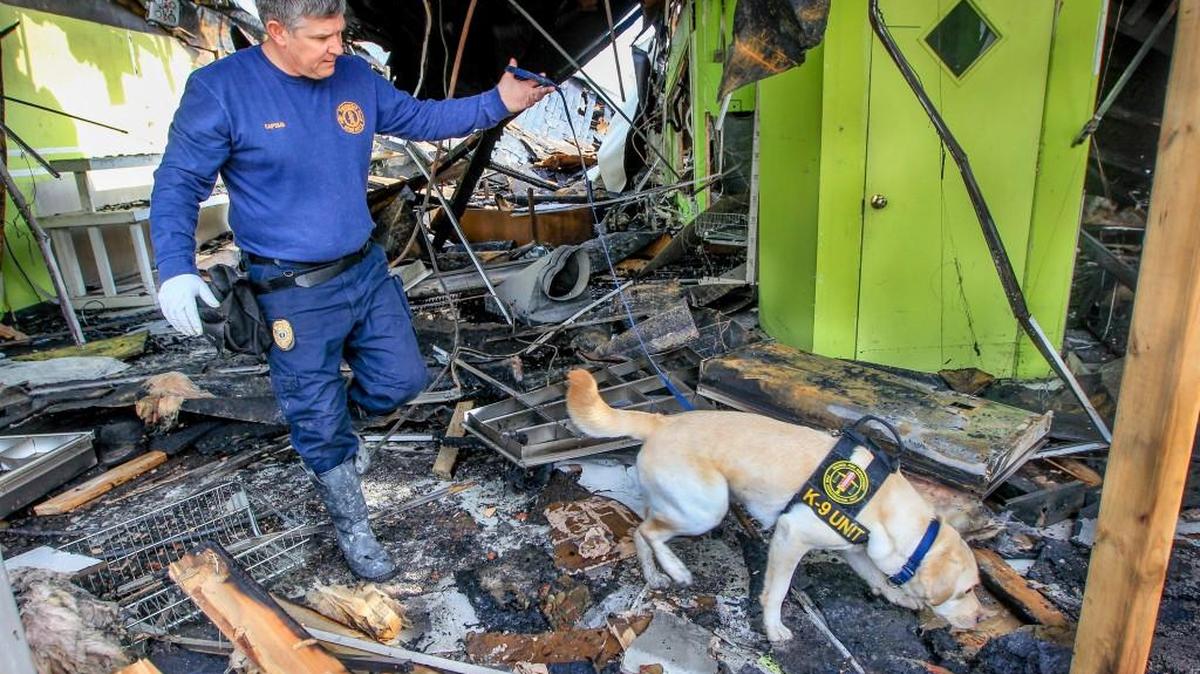 Wichita fire Capt. Kelly Zane takes accelerant detention canine Buddy through the rubble from a two-alarm fire in a building at 20th and Broadway on Feb. 13.