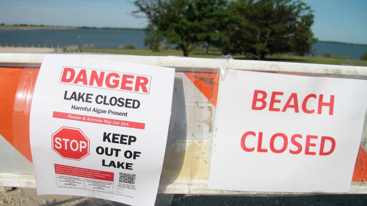 Marion Reservoir will be closed for at least a week to all forms of water use and camping within 100 feet of shore because of a potentially hazardous blue-green algae outbreak. Hundreds of campers and anglers have been affected by the closure.