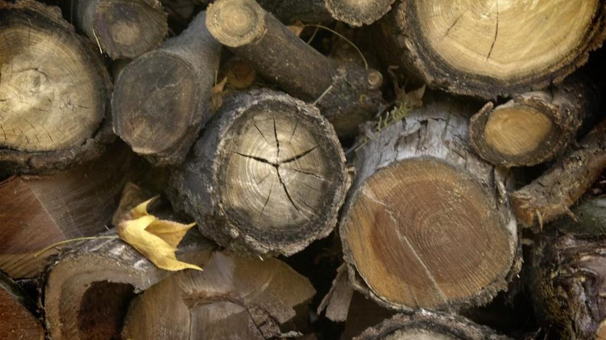Free firewood and mulch will be available at the Sedgwick County Zoo now through February 2018.