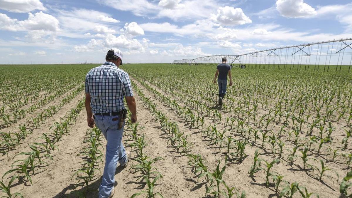 Clay Scott examines an irrigation pivot with his son Ty in a field near their farm in Ulysses, Kan., in 2015. Kansas State University will hold a series of eight workshops across the state called the “Top 10 Considerations to Navigate a Struggling Farm Economy.”
