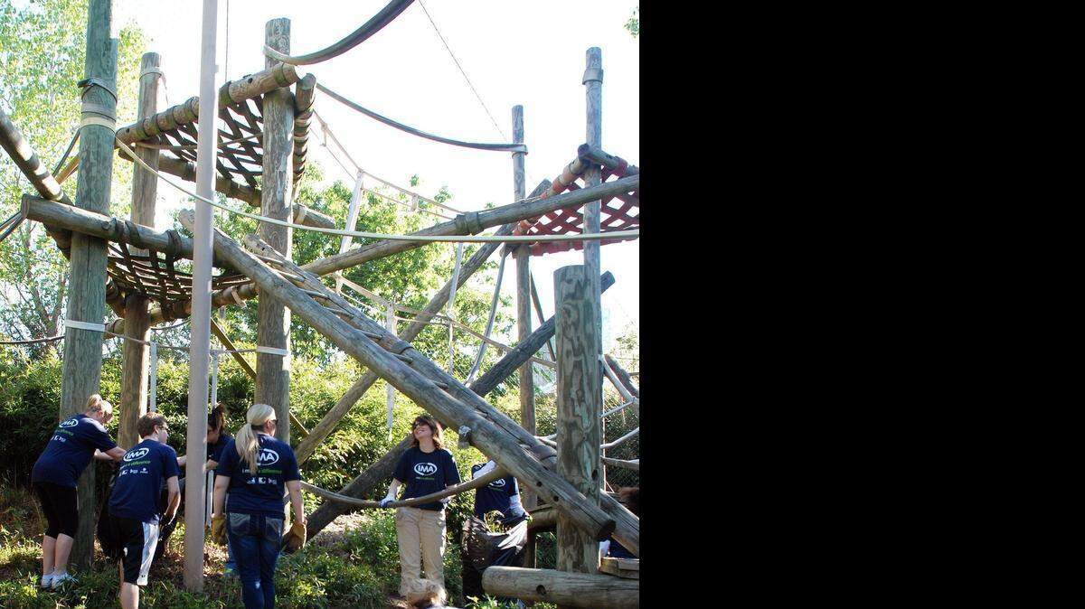 
Employees from IMA Financial Group took the place of the orangutans behind the glass Saturday at Sedgwick County Zoo, volunteering their time to beautify the exhibit.

